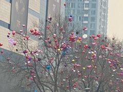 -北国商城