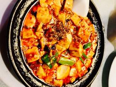 -陈麻婆豆腐总店