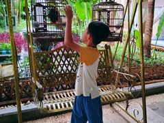 -西双版纳融创皇冠假日度假酒店