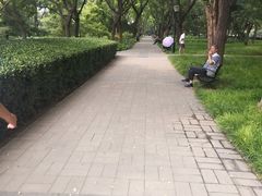 -玲珑塔公园