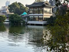 -荔湾湖公园