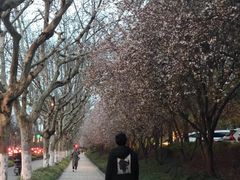 -上海浦东星河湾酒店