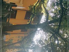 -桂林独秀峰王城景区