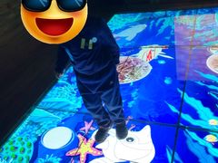 -中国宋庆龄青少年科技文化交流中心
