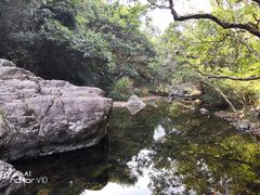 景点-银瓶嘴森林公园