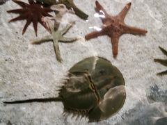 -福州罗源湾海洋世界旅游区