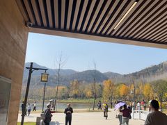 -千年银杏谷文化旅游区