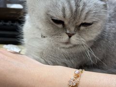 -Oasis绿洲银饰珍珠手作diy(壹方城店)