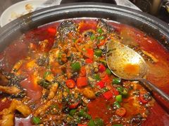 -探鱼·鲜青椒爽麻烤鱼(领展购物广场店)