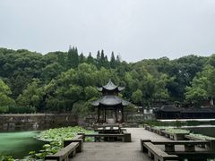 -忠山公园