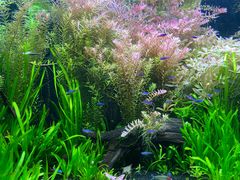 -上海海洋水族馆