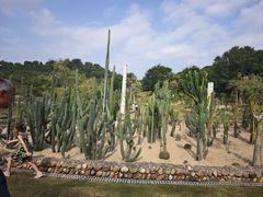 -东莞植物园