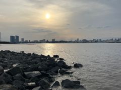-上海滨江森林公园