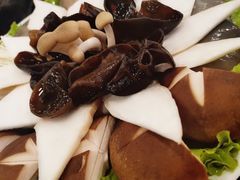 -蝎王府羊蝎子(天通苑店)