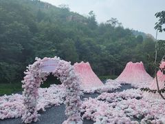 -泰山风景名胜区