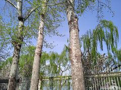 -国家图书馆·古籍馆