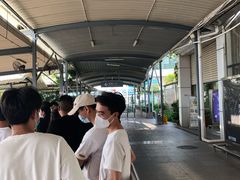 -厦门邮轮中心厦鼓码头(轮渡站)