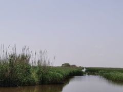 -盐城丹顶鹤湿地生态旅游区