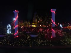 景点-亚龙湾国际玫瑰谷