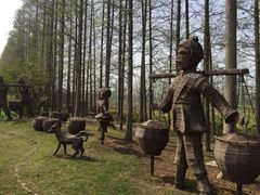 -上海长兴岛郊野公园