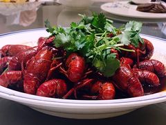 -新日月育才大酒店-中餐厅(环城北路店)