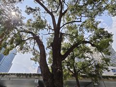 -火宫殿·湘菜小吃·商务宴请·生日聚会(东塘店)