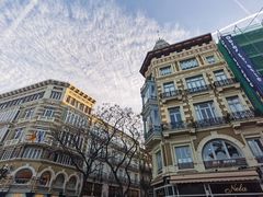 -瓦伦西亚大教堂