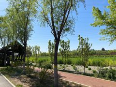 -永定河休闲森林公园