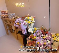 -Halo FLY运动空间
