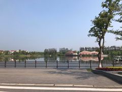 -上海长兴岛郊野公园