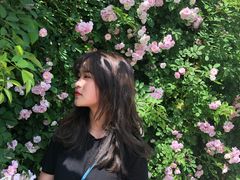 -大塘金香草谷