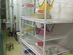 -狗舍宠物医院(四季商业广场店)