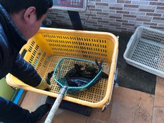 嘎鱼-大鹅岛灶台鱼·铁锅炖(水库路店)