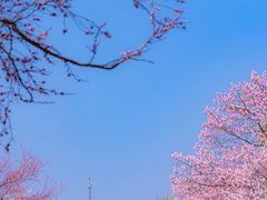 -吉林大学(南岭校区)