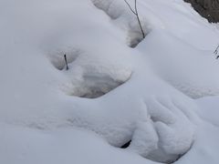 -峡谷浮石林景区