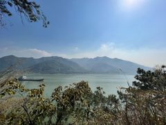 -羚羊峡古栈道森林公园