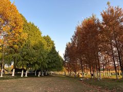 -滨湖塘西河公园