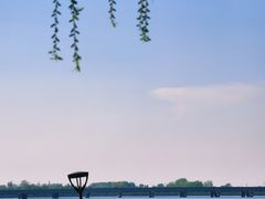 -丁香湖公园