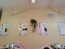 -瘦吧减肥专门店