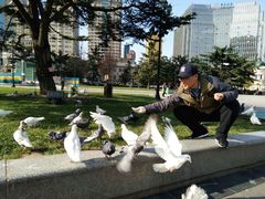 -东港音乐喷泉广场