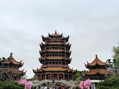 -黄鹤楼公园(黄鹤楼)