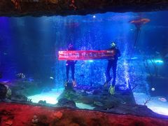 -沈阳海洋探索中心