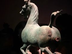 -甘肃省博物馆