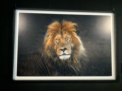 -罗红摄影艺术馆