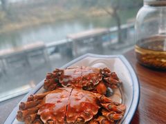 -喜洋洋蟹庄(阳澄湖店)