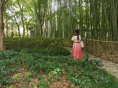 -汇龙潭