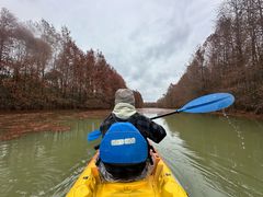 -上海海湾国家森林公园