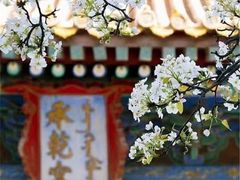 -故宫博物院(故宫)