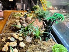 -福照楼汽锅鸡·云南菜(护国路店)