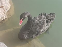 -上海怡沁园度假酒店